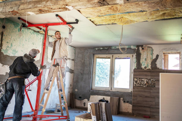 Best Insulation Removal Services  in Bedford, VA